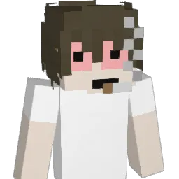 Suus240 Minecraft avatar bust