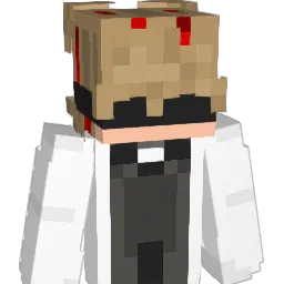 Svxft_ Minecraft avatar bust