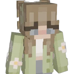 Sw4gFr0g23 Minecraft avatar bust