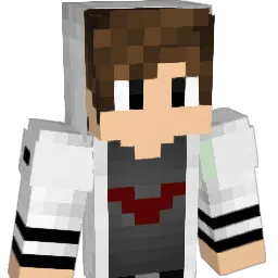 SwagTomppa69 Minecraft avatar bust