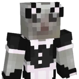 Swashhh's Minecraft skin