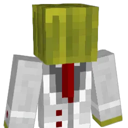 Swastedd Minecraft avatar bust