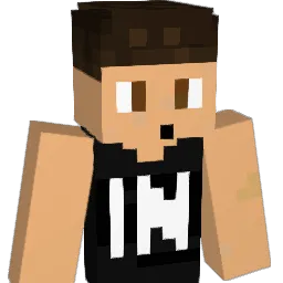 SweatLikeBirds's Minecraft skin