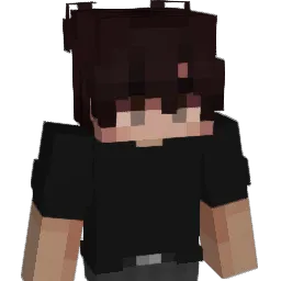 SweatyX1 Minecraft avatar bust