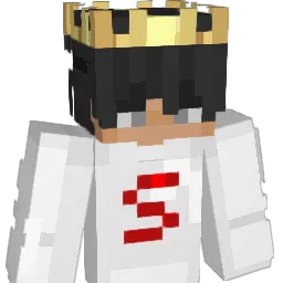 Sweaty_10 Minecraft avatar bust