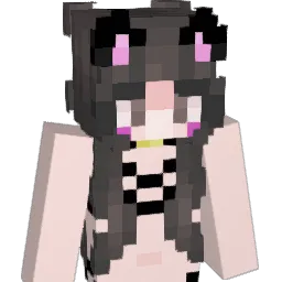 Sweatybills35 Minecraft avatar bust