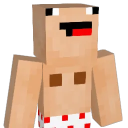 SweetCheeks2324 Minecraft avatar bust