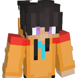 SwiftNinja913