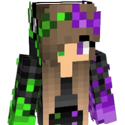SwiftSloth19 Minecraft avatar bust