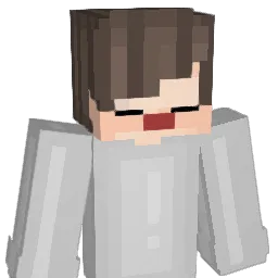 Swiftlens Minecraft avatar bust