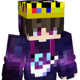 Swifz511 Minecraft avatar bust
