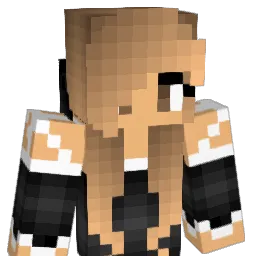 SwimBK Minecraft avatar bust