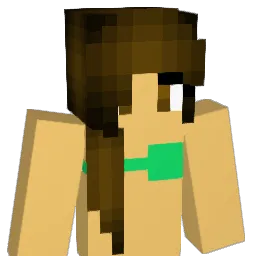 Swimbug23 Minecraft avatar bust
