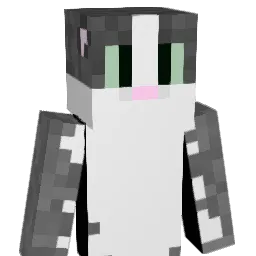 Swimdragon999 Minecraft avatar bust