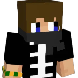 SwitchNSwap Minecraft avatar bust