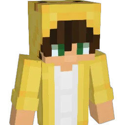 Swixo_ Minecraft avatar bust