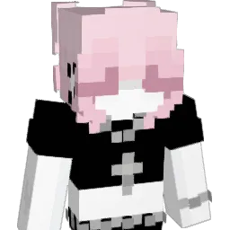 Swnie Minecraft avatar bust