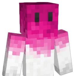 SwonkyTown Minecraft avatar bust