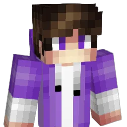 Swooder Minecraft avatar bust
