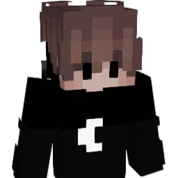 Swrdzz Minecraft avatar bust
