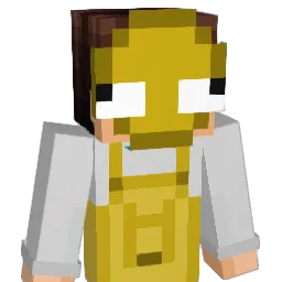 SwrxyBuildzz Minecraft avatar bust