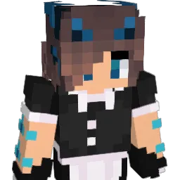 Swunkus55 Minecraft avatar bust