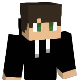 SyNetriix Minecraft avatar bust