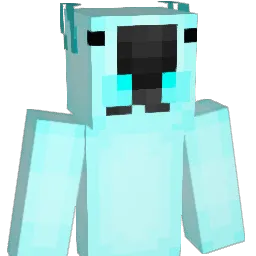 SyedAffahn911's Minecraft skin