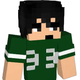 Syedeye33 Minecraft avatar bust