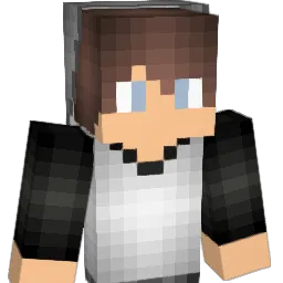 Symmetrys Minecraft avatar bust