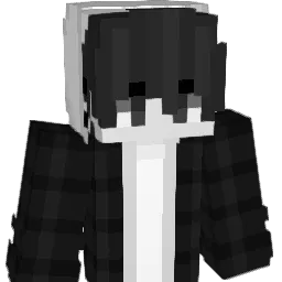 SynonymUnknown Minecraft avatar bust