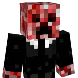 Synx23167 Minecraft avatar bust