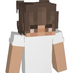 SzymStef Minecraft avatar bust