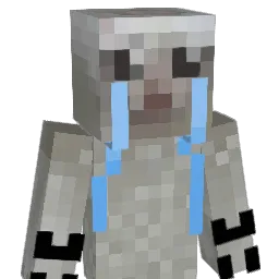 T00LS's Minecraft skin