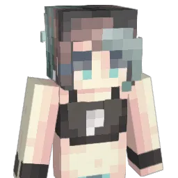 T03A Minecraft avatar bust