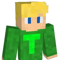 T0M3N_ Minecraft avatar bust