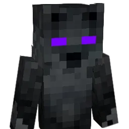 T0OK Minecraft avatar bust