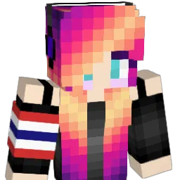 T1np4nN Minecraft avatar bust