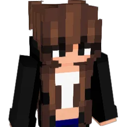 T308643 Minecraft avatar bust