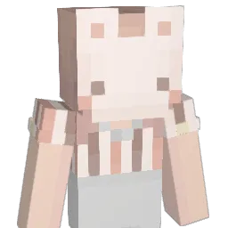 T4br1s Minecraft avatar bust