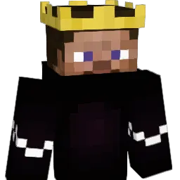 T9BI Minecraft avatar bust