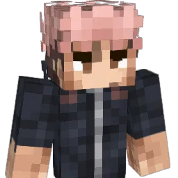 TDBpunisher77 Minecraft avatar bust