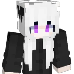 TDHF Minecraft avatar bust
