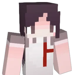 TDNYAMADA Minecraft avatar bust