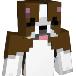 TDNtim Minecraft avatar bust
