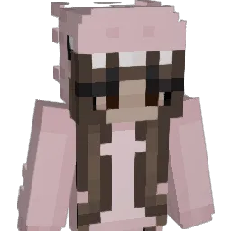 TE55_ Minecraft avatar bust