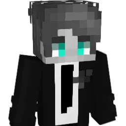 TFrame55 Minecraft avatar bust