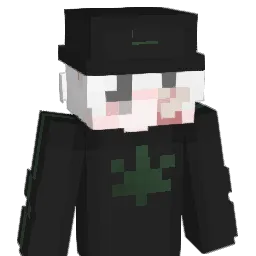 TGEEB Minecraft avatar bust