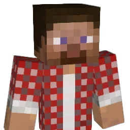 TGRyan Minecraft avatar bust