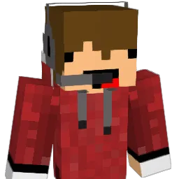 THEDIAMONDGUY248 Minecraft avatar bust